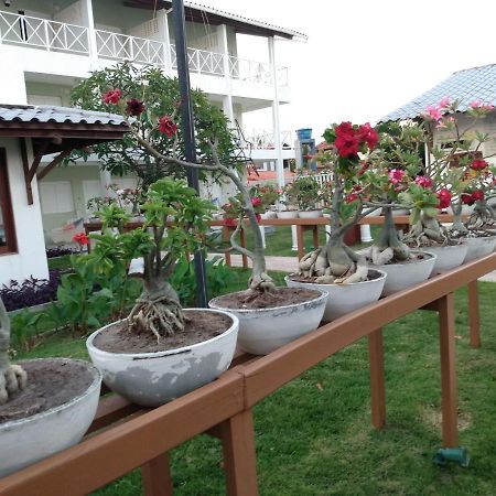 Brisamar Hotel Pousada Barra de Sao Miguel Ngoại thất bức ảnh